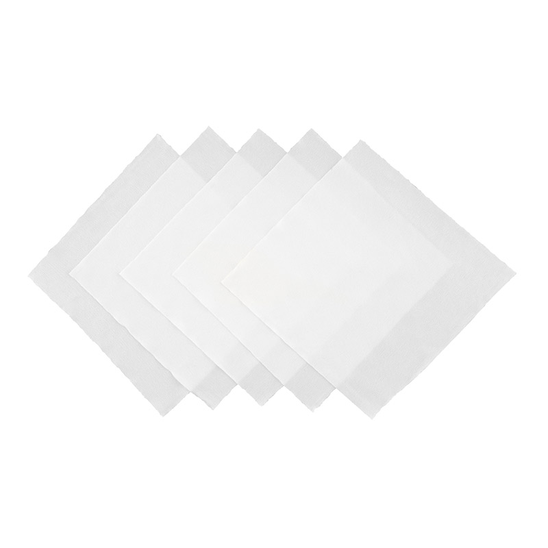 Antistatic Clean Room Wipes 5 Pieces